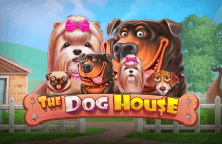 The Dog House